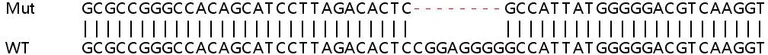 Sanger Sequencing - Human NLRC5 knockout A549 cell line (AB266987)