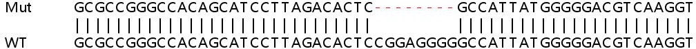 Sanger Sequencing - Human NLRC5 knockout A549 cell lysate (AB258534)