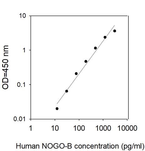 Sandwich ELISA - Human Nogo-B/RTN 4B ELISA Kit (AB313910)