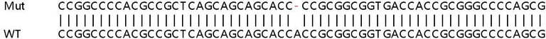 Sanger Sequencing - Human NOMO2 knockout HeLa cell line (AB265218)