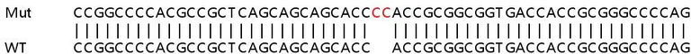 Sanger Sequencing - Human NOMO2 knockout HeLa cell line (AB265218)