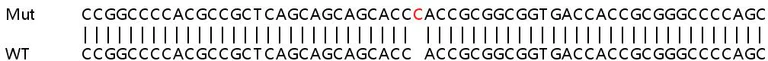 Sanger Sequencing - Human NOMO2 knockout HeLa cell line (AB265218)