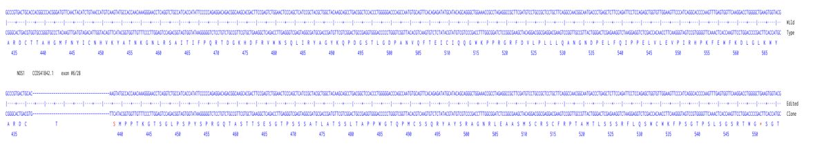 Next Generation Sequencing - Human NOS1 knockout A549  cell line (AB301103), expandable thumbnail