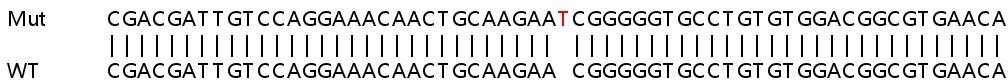Sanger Sequencing - Human NOTCH1 knockout HeLa cell lysate (AB257006), expandable thumbnail