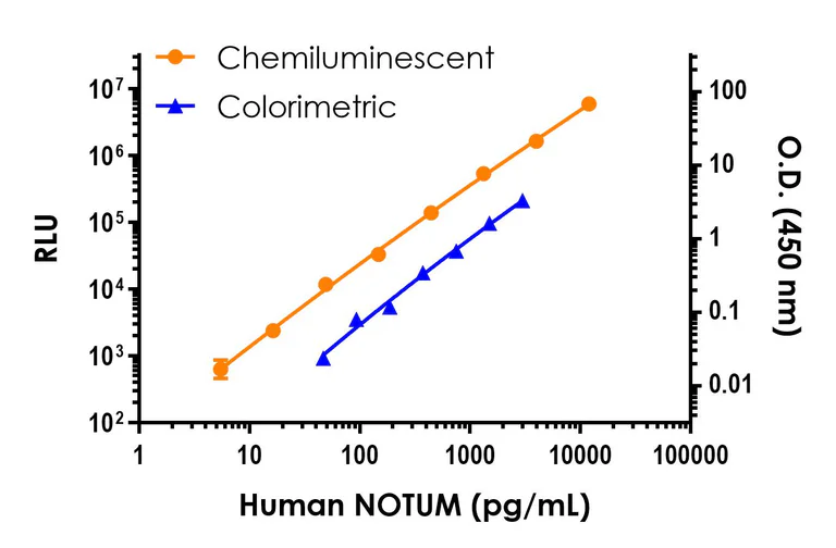 Sandwich ELISA - Human NOTUM ELISA Kit, Chemiluminescent - Extracellular (AB326395)