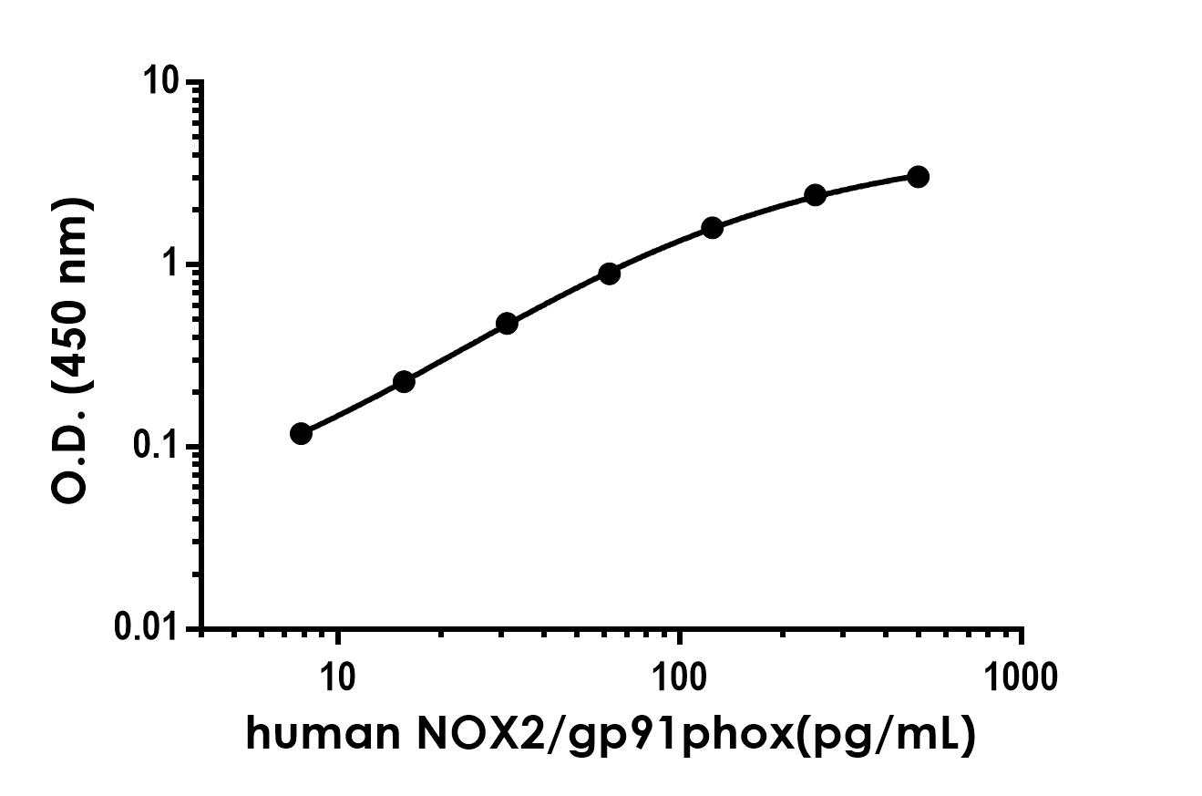 Human NOX2/gp91phox Antibody Pair - BSA and Azide free