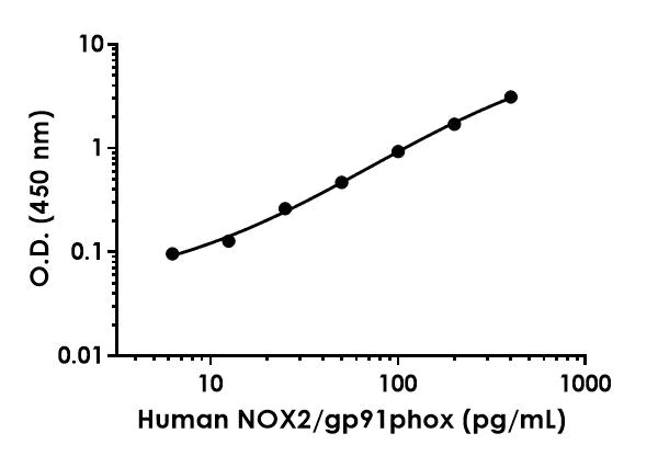 Sandwich ELISA - Human NOX2/gp91phox ELISA Kit - Extracellular (AB300335)