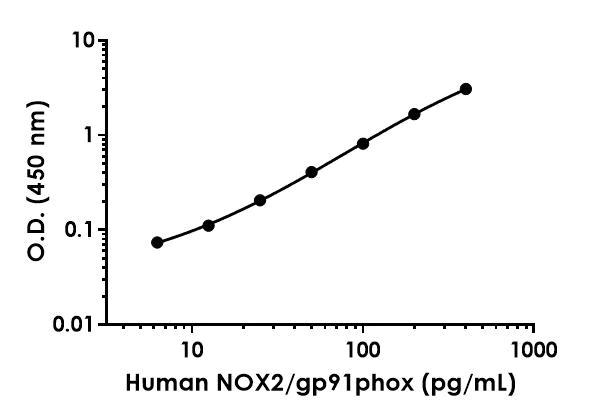 Sandwich ELISA - Human NOX2/gp91phox ELISA Kit- Intracellular (AB300334)