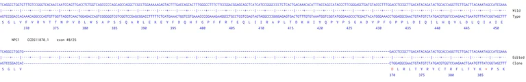Next Generation Sequencing - Human NPC1 knockout A549 cell line (AB301105)