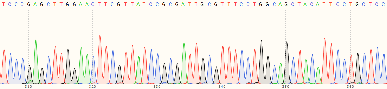 Sanger Sequencing - Human NPC2 (Niemann Pick C2) knockout HEK-293T cell line (AB266749), expandable thumbnail