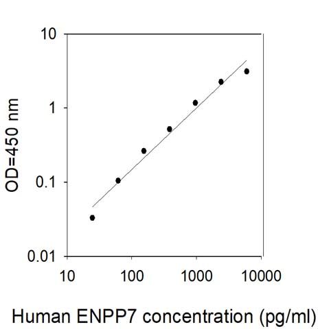 Sandwich ELISA - Human NPP-7 ELISA Kit (AB313689), expandable thumbnail
