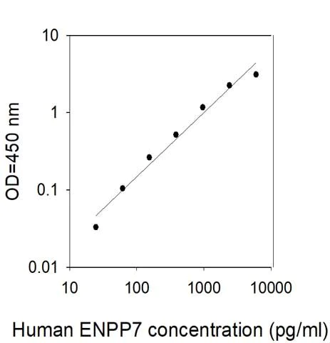 Sandwich ELISA - Human NPP-7 ELISA Kit (AB313689)