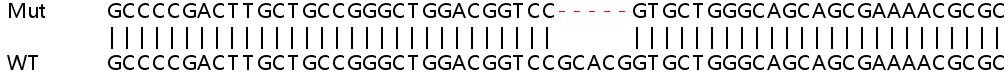 Sanger Sequencing - Human NPR1 (Natriuretic Peptide Receptor A/GC-A) knockout HeLa cell line (AB265930), expandable thumbnail