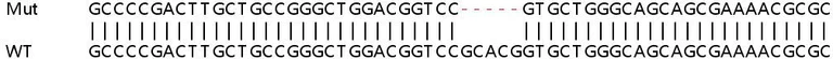 Sanger Sequencing - Human NPR1 (Natriuretic Peptide Receptor A/GC-A) knockout HeLa cell line (AB265930)