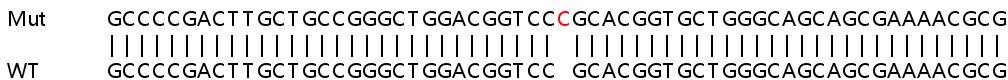 Sanger Sequencing - Human NPR1 (Natriuretic Peptide Receptor A/GC-A) knockout HeLa cell line (AB265930), expandable thumbnail