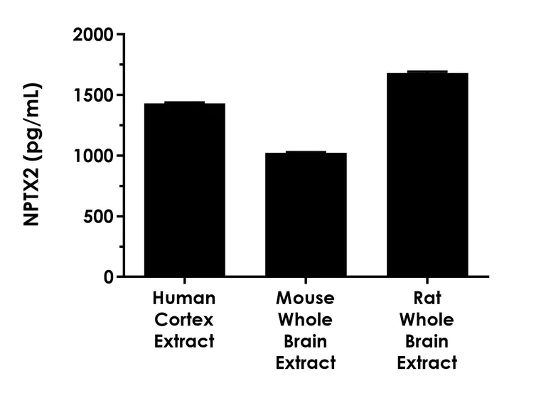 Sandwich ELISA - Human NPTX2 ELISA Kit - Intracellular (AB314847)
