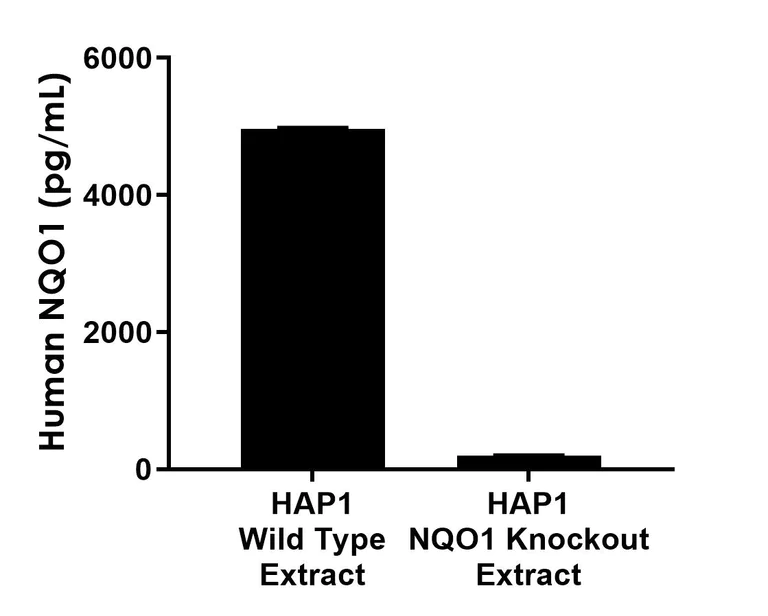 Sandwich ELISA - Human NQO1 Antibody Pair - BSA and Azide free (AB312884)