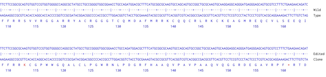 Next Generation Sequencing - Human NR1H2 knockout A549 cell line (AB273756)