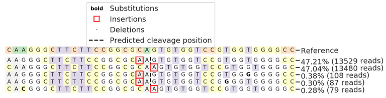 Next Generation Sequencing - Human NR1H2 knockout A549 cell lysate (AB273784)