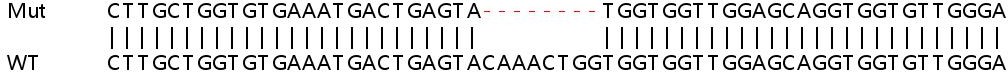 Sanger Sequencing - Human NRAS knockout HEK-293T cell line (AB266684), expandable thumbnail