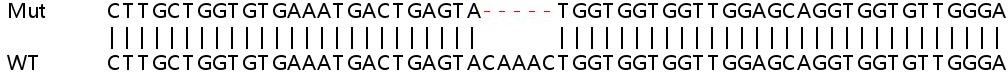 Sanger Sequencing - Human NRAS knockout HEK-293T cell line (AB266684), expandable thumbnail