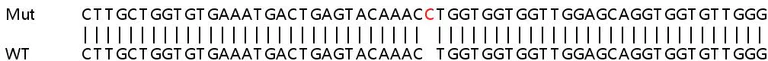 Sanger Sequencing - Human NRAS knockout HeLa cell line (AB264999)