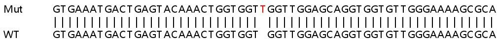 Sanger Sequencing - Human NRAS knockout HeLa cell lysate (AB258543), expandable thumbnail