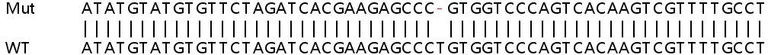 Sanger Sequencing - Human NRG4 knockout HeLa cell line (AB264734)