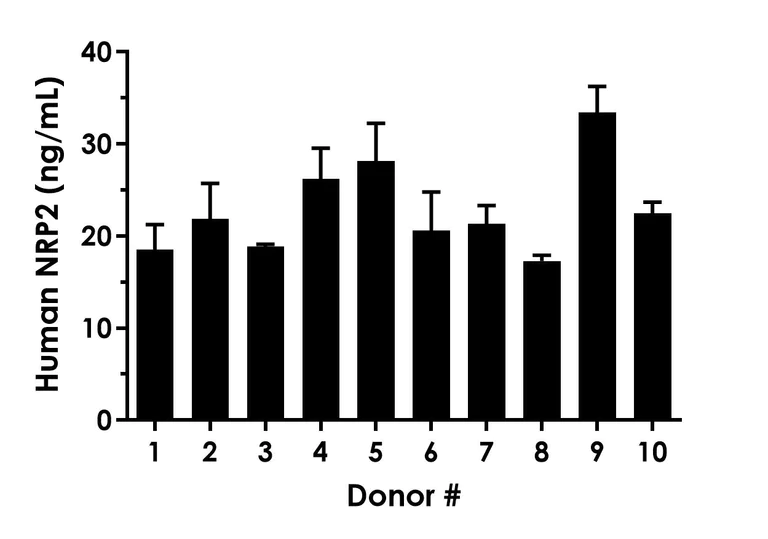 Sandwich ELISA - Human NRP2 ELISA Kit - Extracellular (AB315040)