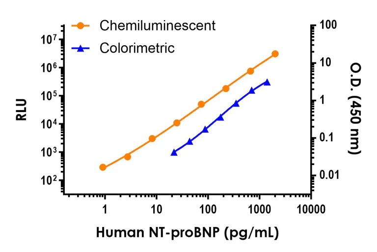 Sandwich ELISA - Human NT-proBNP ELISA Kit, Chemiluminescent (AB326386)