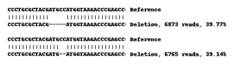 Next Generation Sequencing - Human NT5E knockout A-431 cell lysate (AB261704)
