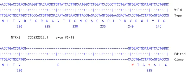 Next Generation Sequencing - Human NTRK3 knockout U-87 MG cell line (AB306744)