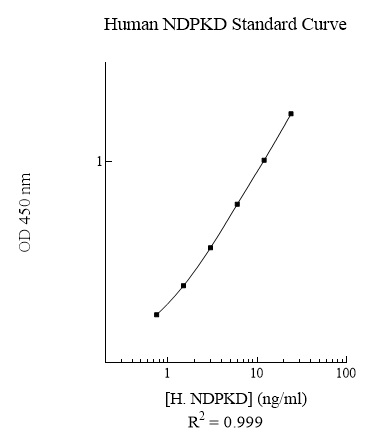 Sandwich ELISA - Human Nucleoside Diphosphate Kinase D ELISA Kit (AB283968)