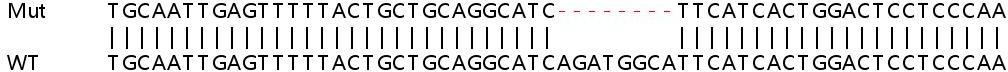 Sanger Sequencing - Human NUDT2 knockout HeLa cell line (AB265752), expandable thumbnail