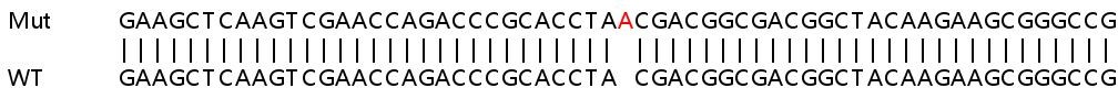 Sanger Sequencing - Human NUDT3 (DIPP) knockout HeLa cell lysate (AB259008)