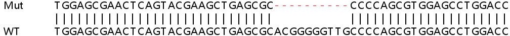 Sanger Sequencing - Human OAS1 knockout A549 cell line (AB267107), expandable thumbnail
