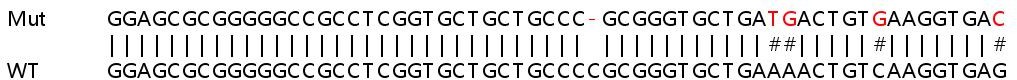 Sanger Sequencing - Human OAS3 knockout A549 cell line (AB267212), expandable thumbnail