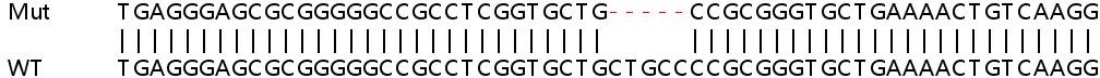 Sanger Sequencing - Human OAS3 knockout A549 cell line (AB267212), expandable thumbnail