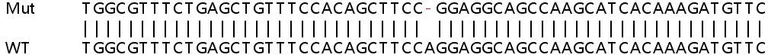 Sanger Sequencing - Human OASL knockout A549 cell line (AB267193)