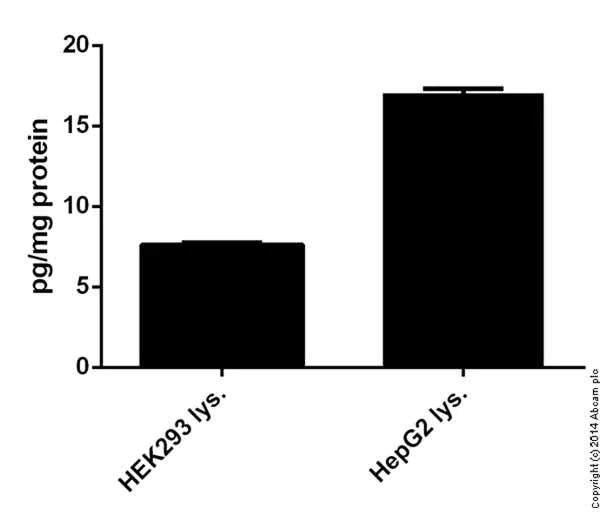Sandwich ELISA - Human Osteoprotegerin ELISA Kit (AB100617)