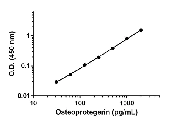 Sandwich ELISA - Human Osteoprotegerin ELISA Kit (AB189580)