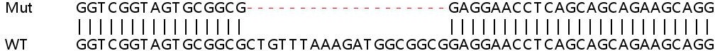 Sanger Sequencing - Human OTUB1 knockout HEK-293T cell line (ab266551), expandable thumbnail