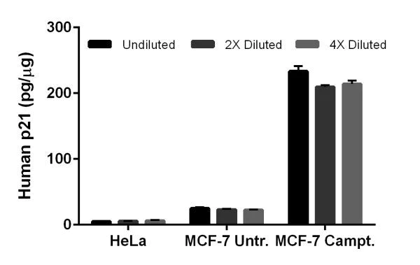 ELISA - Human p21 ELISA Kit (AB214658)