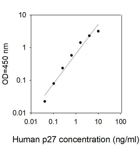 Sandwich ELISA - Human p27 Kip 1 ELISA Kit (AB313917)