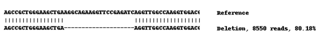 Next Generation Sequencing - Human P4HB knockout A-431 cell line (AB261887), expandable thumbnail