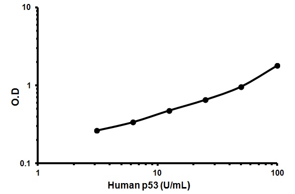 Sandwich ELISA - Human p53 ELISA Kit (AB46067), expandable thumbnail