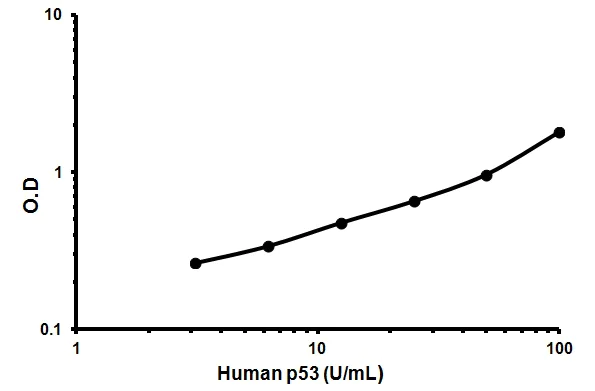 Sandwich ELISA - Human p53 ELISA Kit (AB46067)