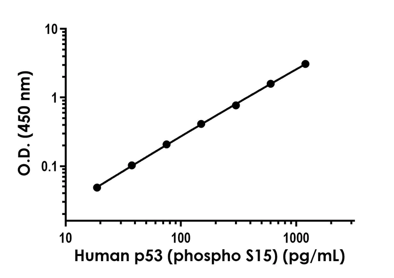 Sandwich ELISA - Human p53 (phospho S15) ELISA Kit (AB324321)