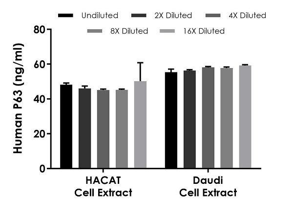 Sandwich ELISA - Human P63 ELISA Kit (AB234564), expandable thumbnail