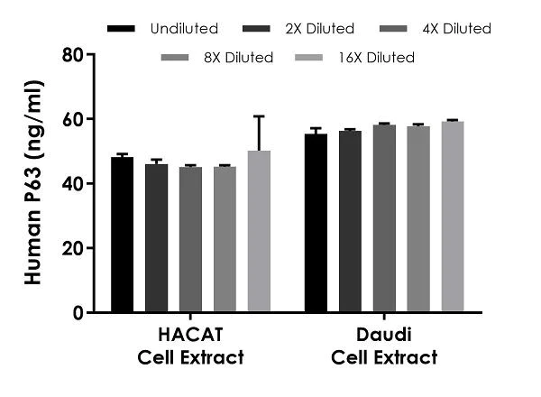 Sandwich ELISA - Human P63 ELISA Kit (AB234564)